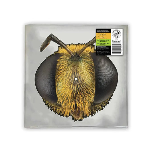 King Gizzard & The Lizard Wizard - Big Fig Wasp 12"