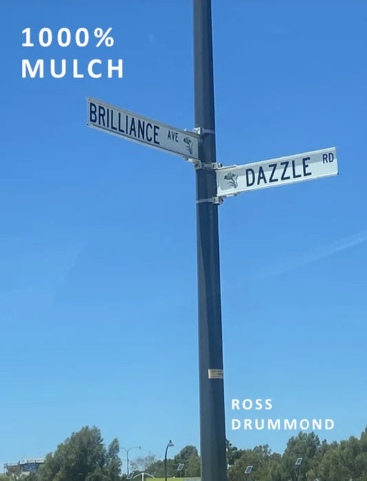 Ross Drummond - 1000% MULCH Zine