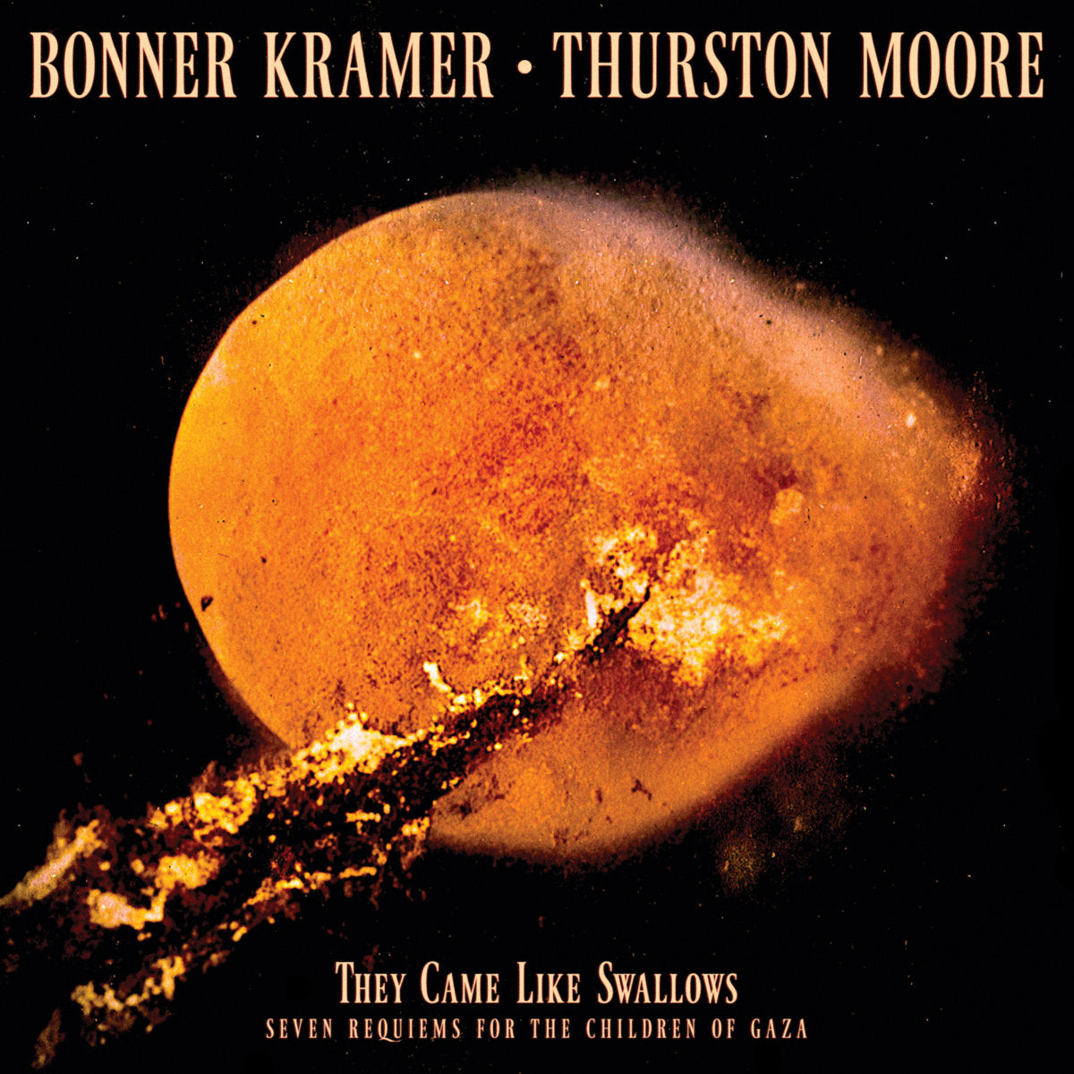 Bonner Kramer & Thurston Moore - They Came Like Swallows LP