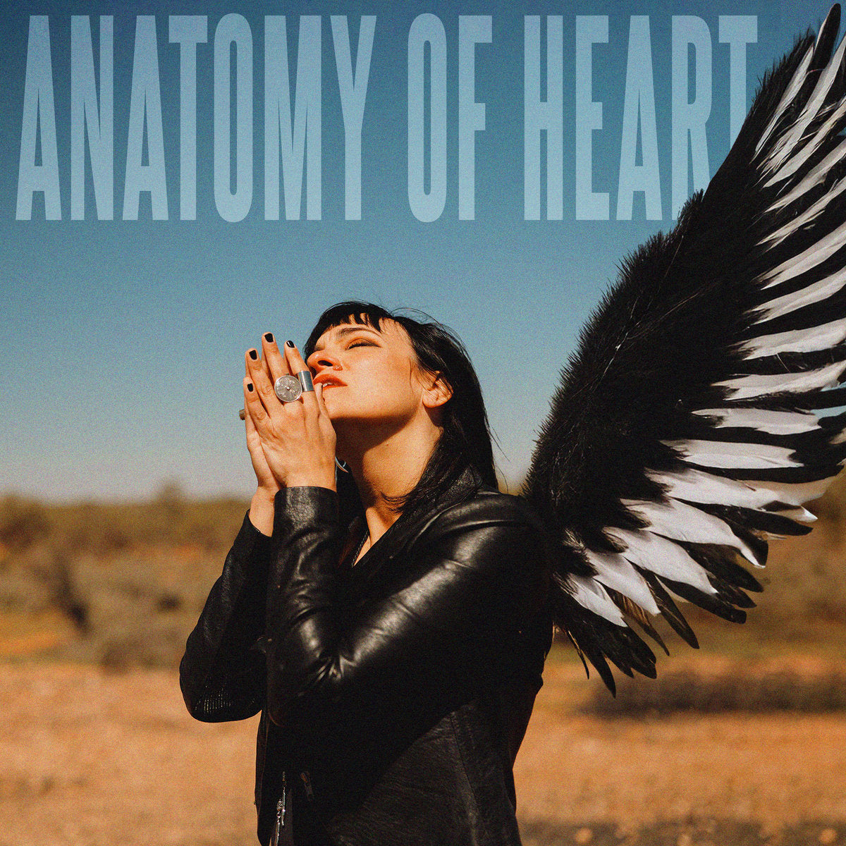 Donné Restom & Aaron 'Baz' Flower - Anatomy of Heart LP