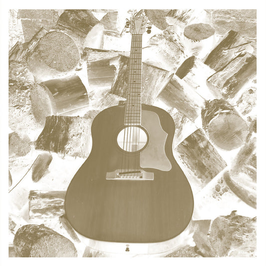 Michael Chapman - VDSQ Solo Acoustic Vol. 11 - Homages LP