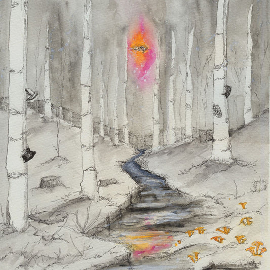Anthony Pasquarosa - Morning Meditations LP