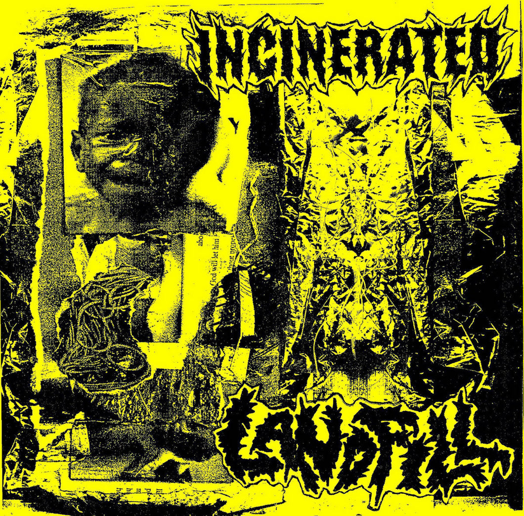 Incinerated / Landfill - Split 7