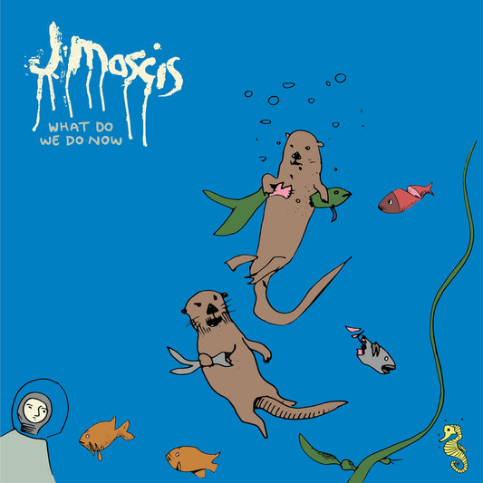 J Mascis - What Do We Do Now? LP