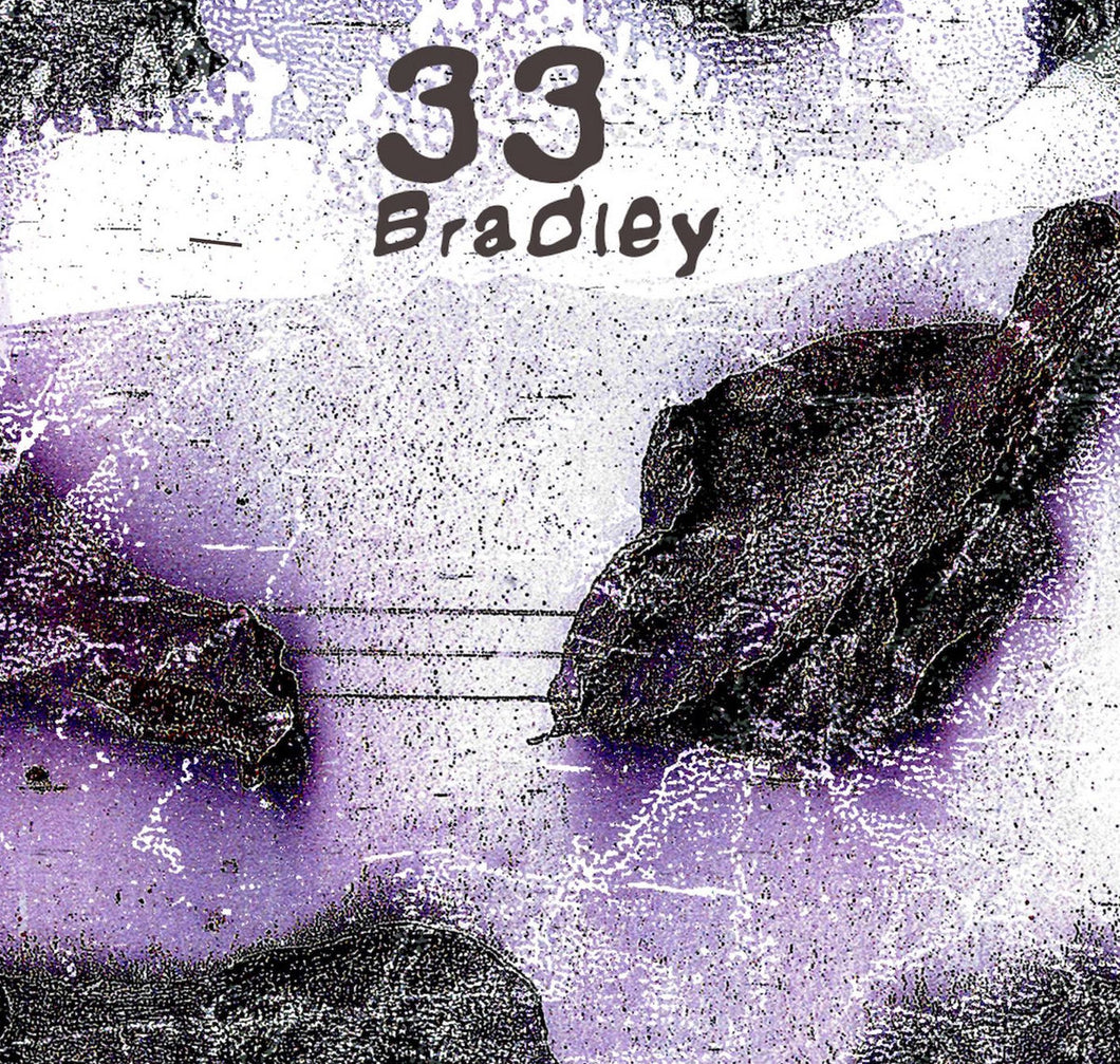 33 - Bradley CS