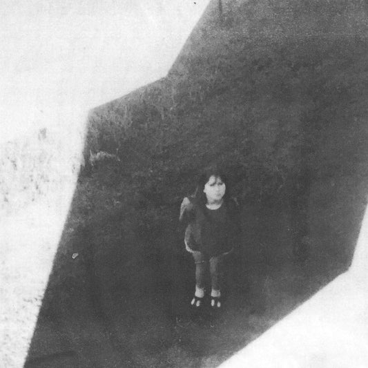 Field Commander Ali - The Next From Field Commander LP