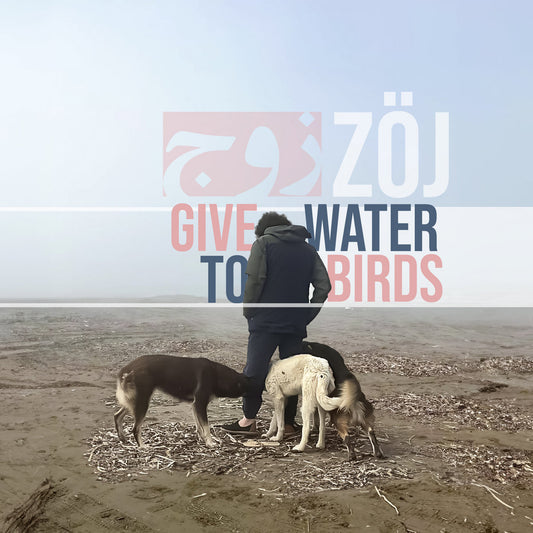 ZÖJ - Give Water To Birds LP