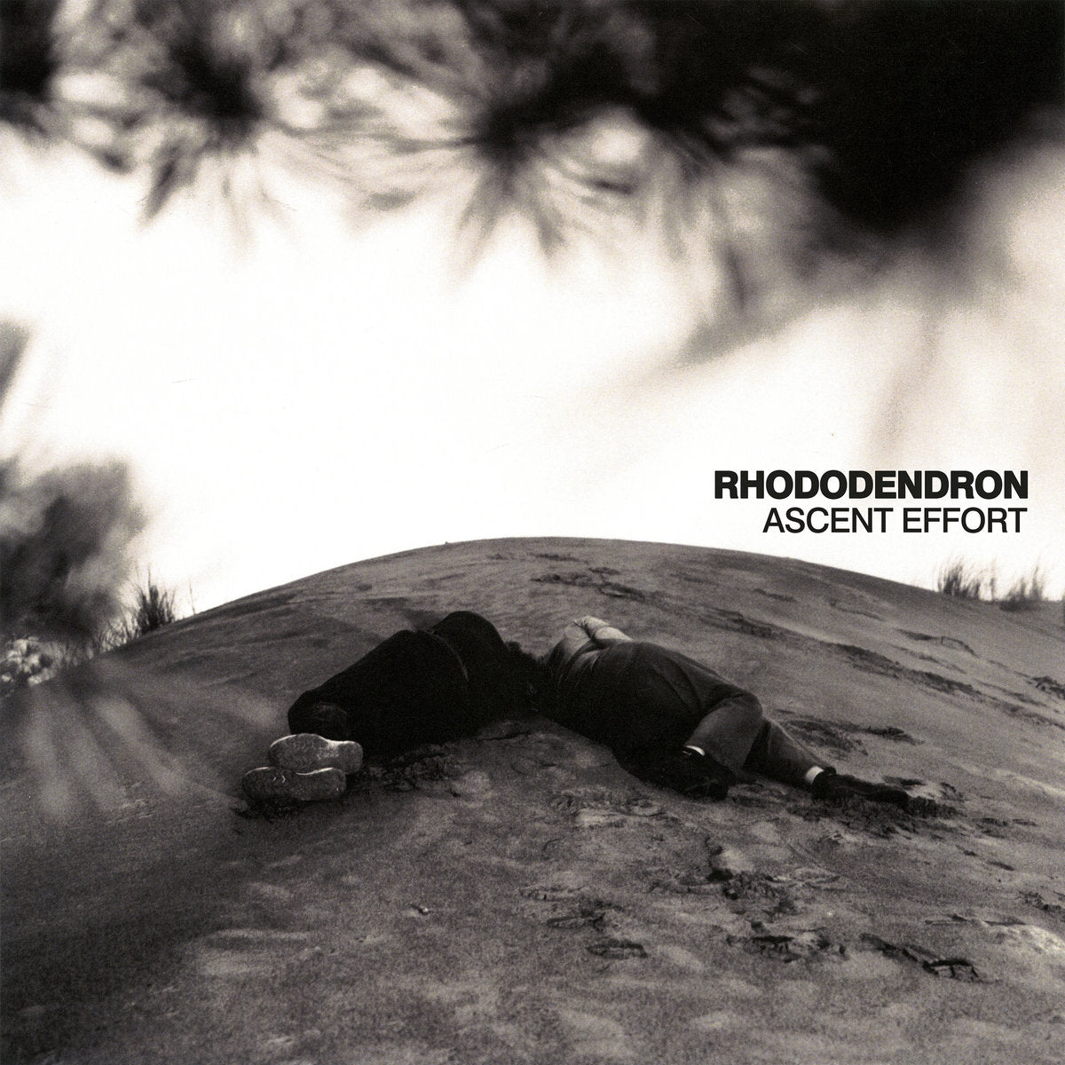 Rhododendron - Ascent Effort CD