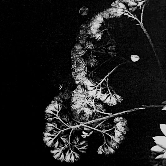 Cold Hands Warm Heart - day and night have equal weight CS