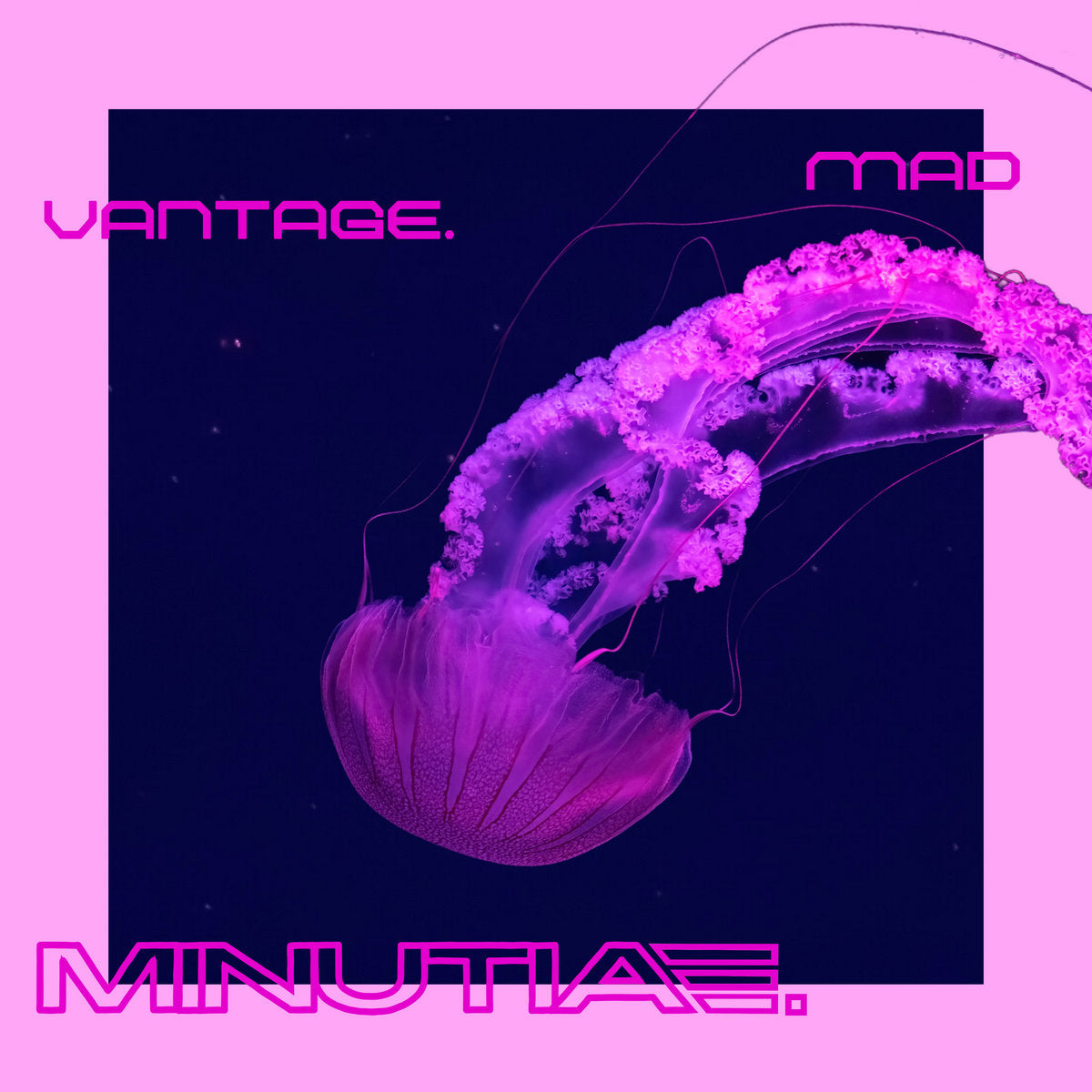 Mad Vantage - Minutiae LP