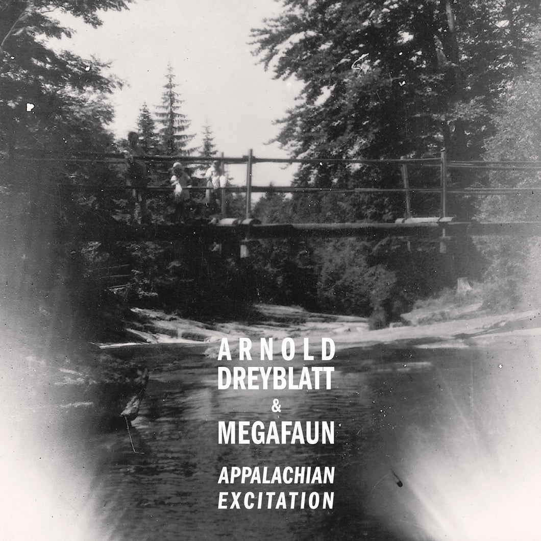 Arnold Dreyblatt and Megafaun - Appalachian Excitation CD