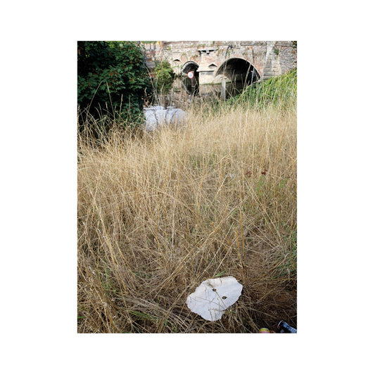 Germ Lattice - Corpusty 10"