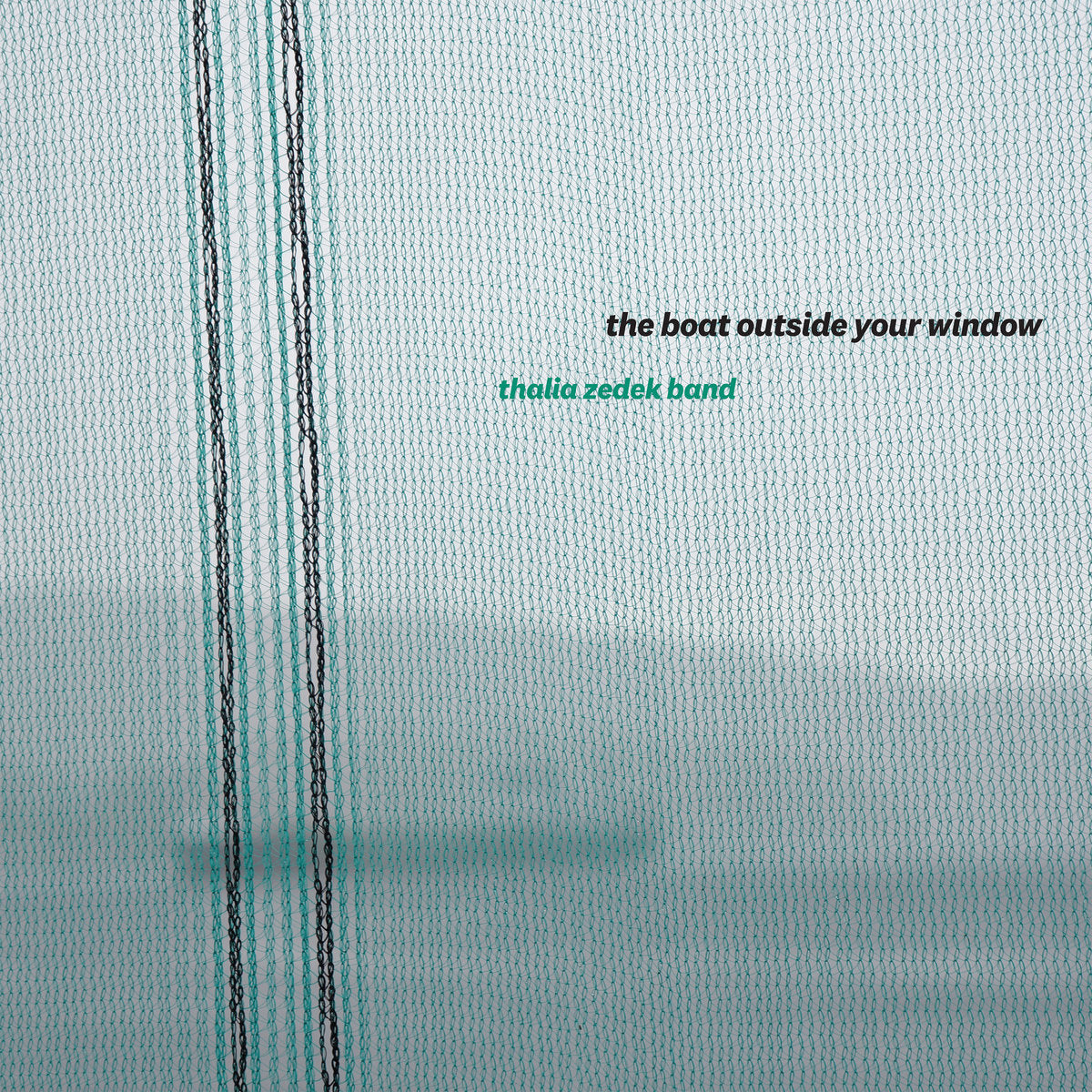 Thalia Zedek Band - The Boat Outside Your Window LP