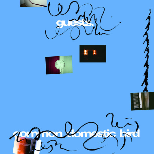 Guests - Common Domestic Bird LP