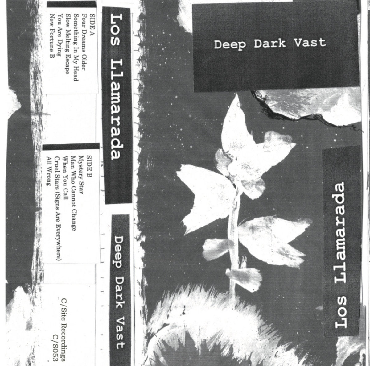 Los Llamarada - Deep Dark Vast CS