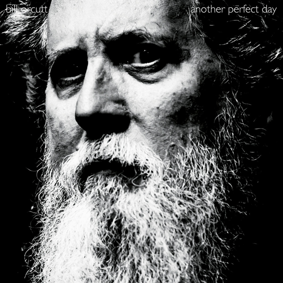 Bill Orcutt - Another Perfect Day CD