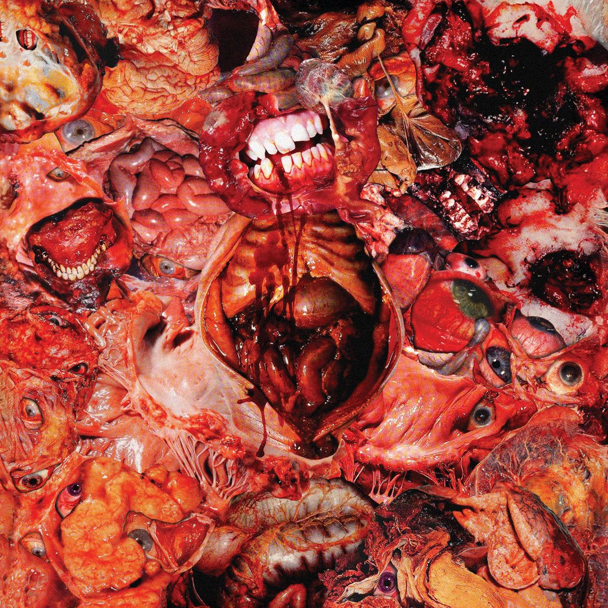 FesterDecay - From Demo To Rot LP