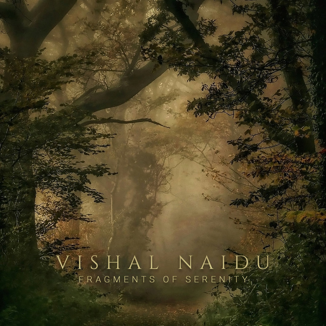 Vishal Naidu - Fragments Of Serenity CS