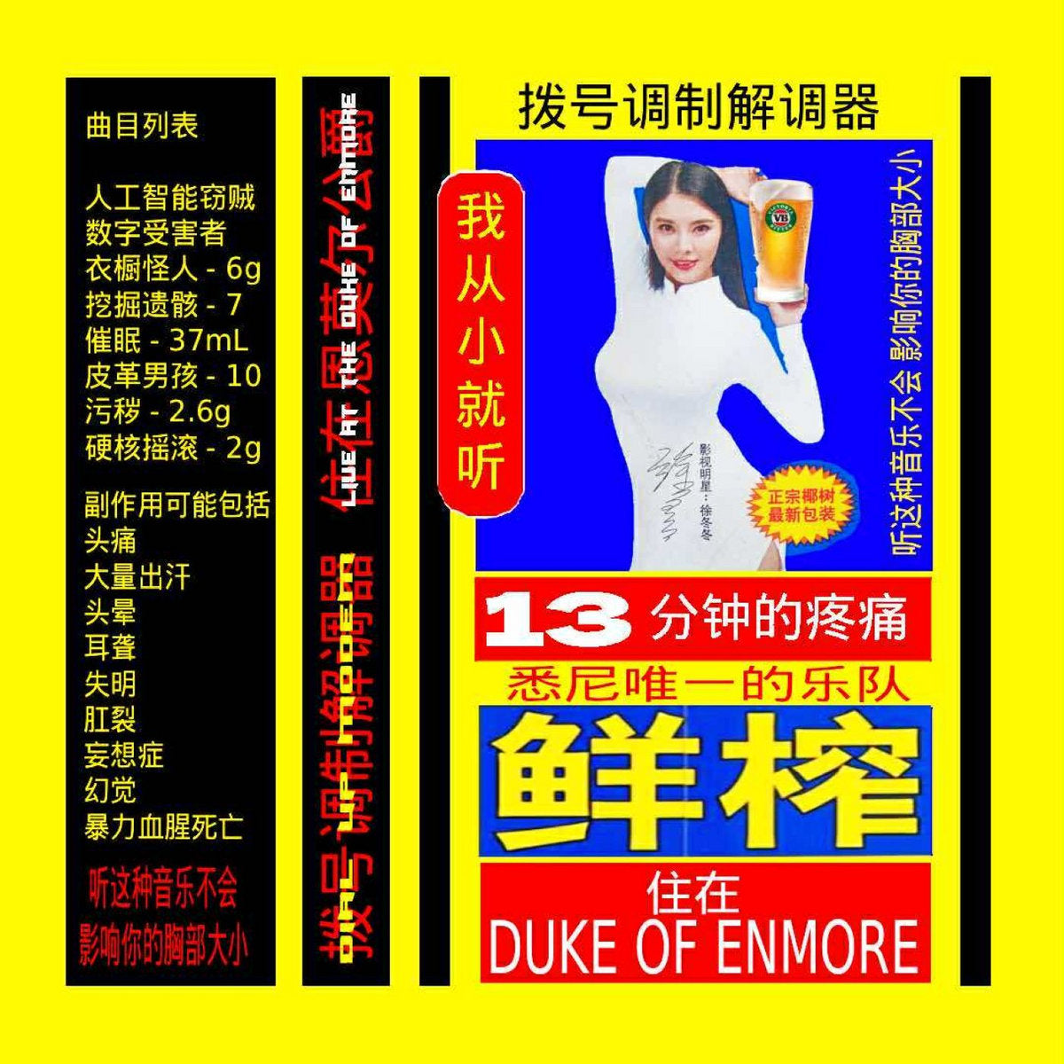 Dial Up Modem - Live At The Duke Of Enmore CS