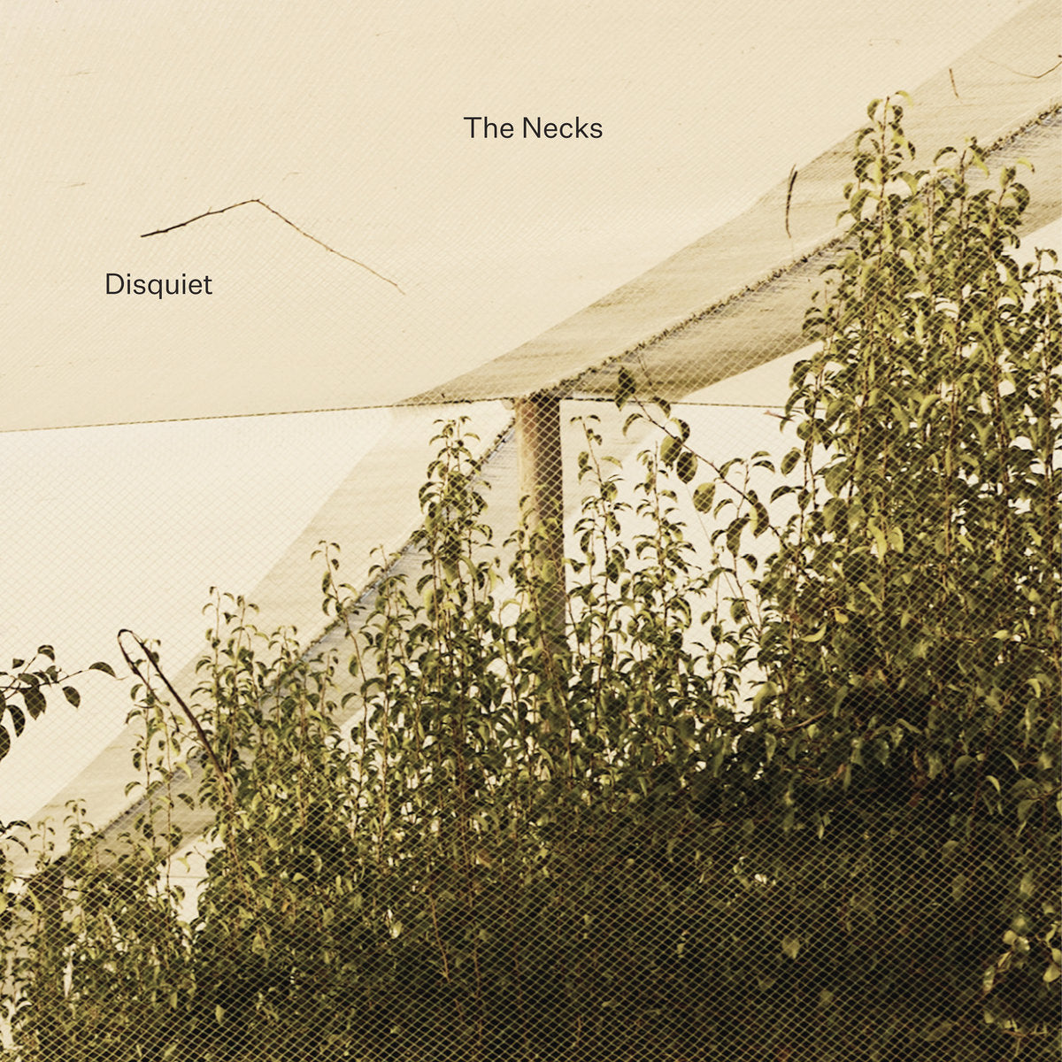 The Necks - Disquiet 3CD
