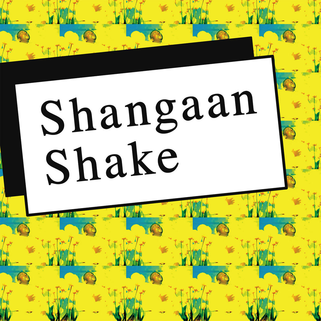 Various - Shangaan Shake 2CD