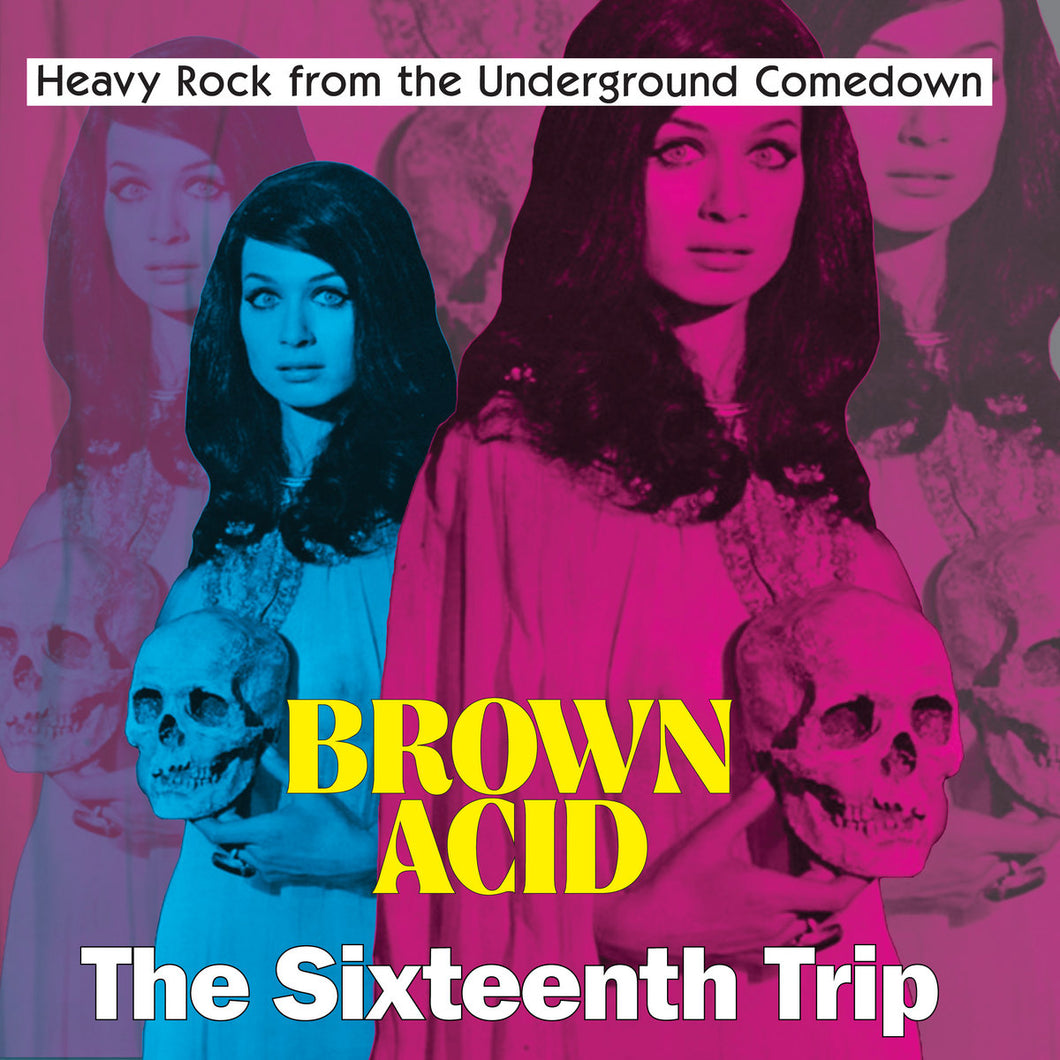 Various - Brown Acid: The Sixteenth Trip LP
