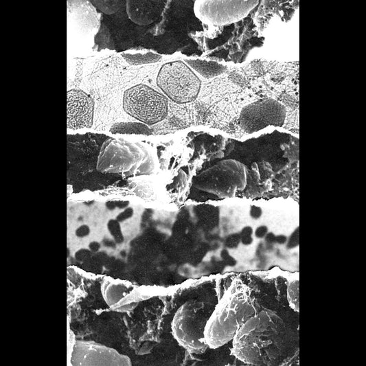 Death Appeal - Zero Prospect CS