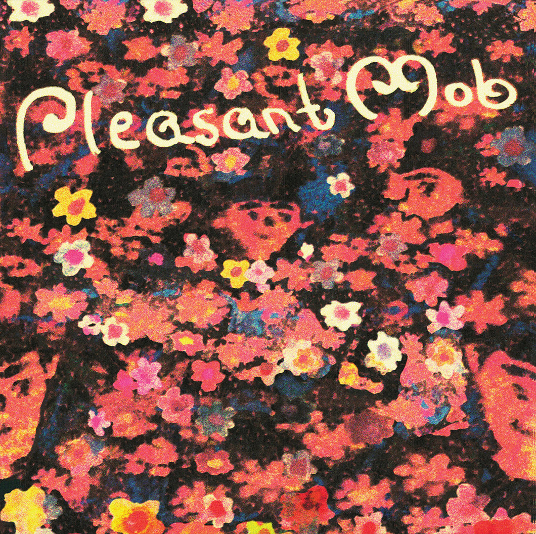 Pleasant Mob - Pleasant Mob LP