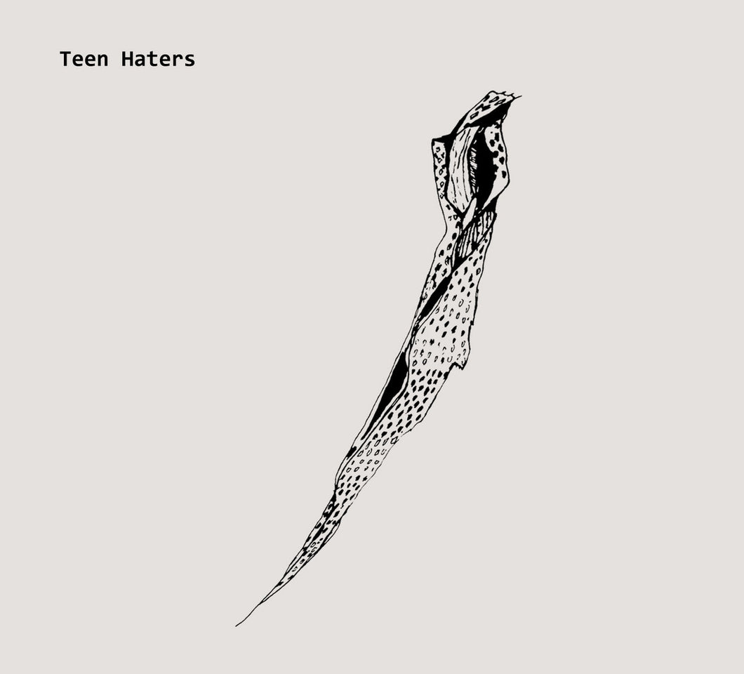 Teen Haters - Another Sunday CD