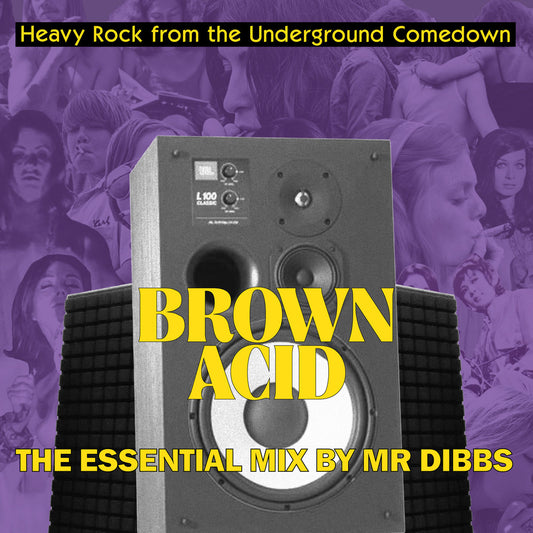 Various - Brown Acid "The Essential Mix" by Mr. Dibbs LP