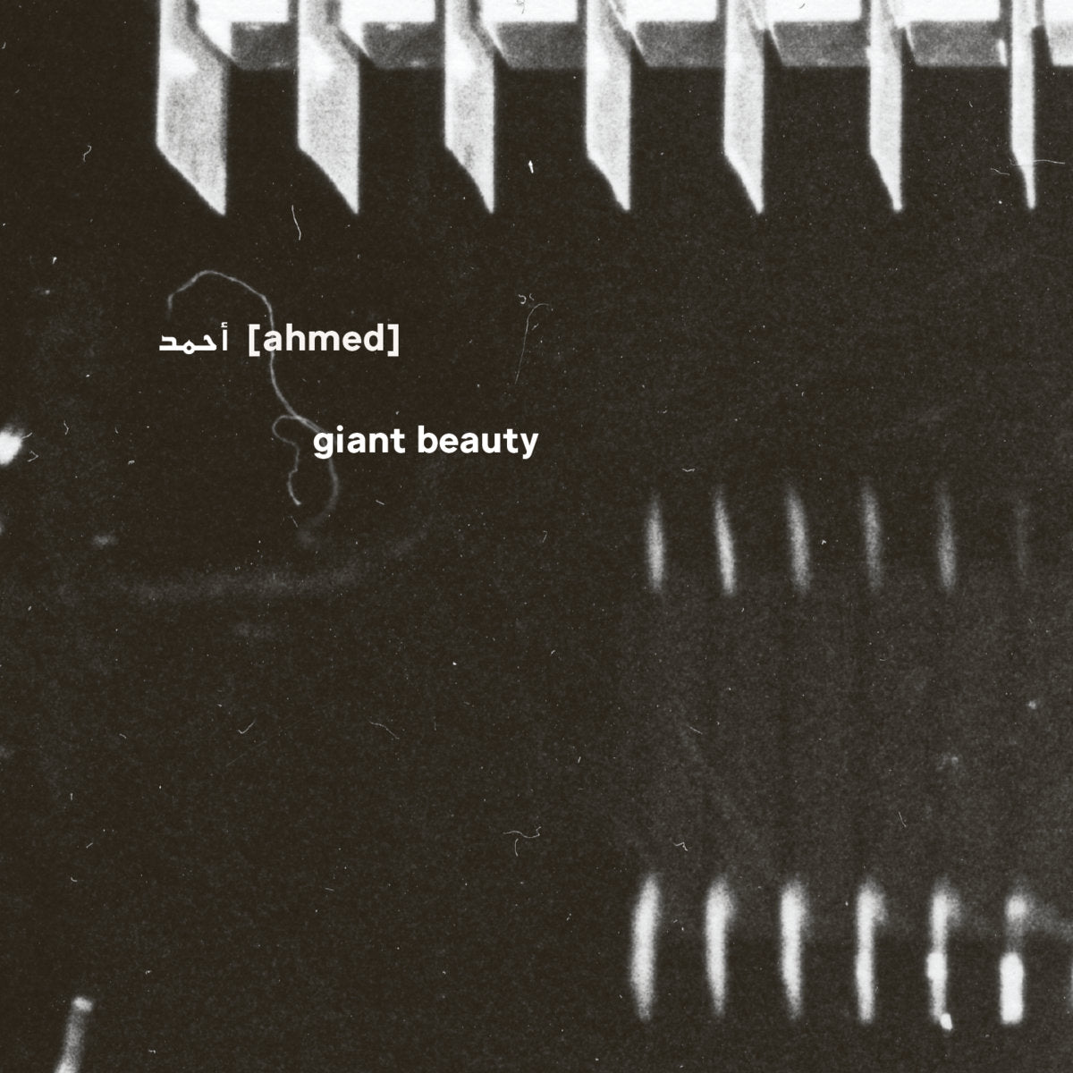 [Ahmed] - Giant Beauty 5CD