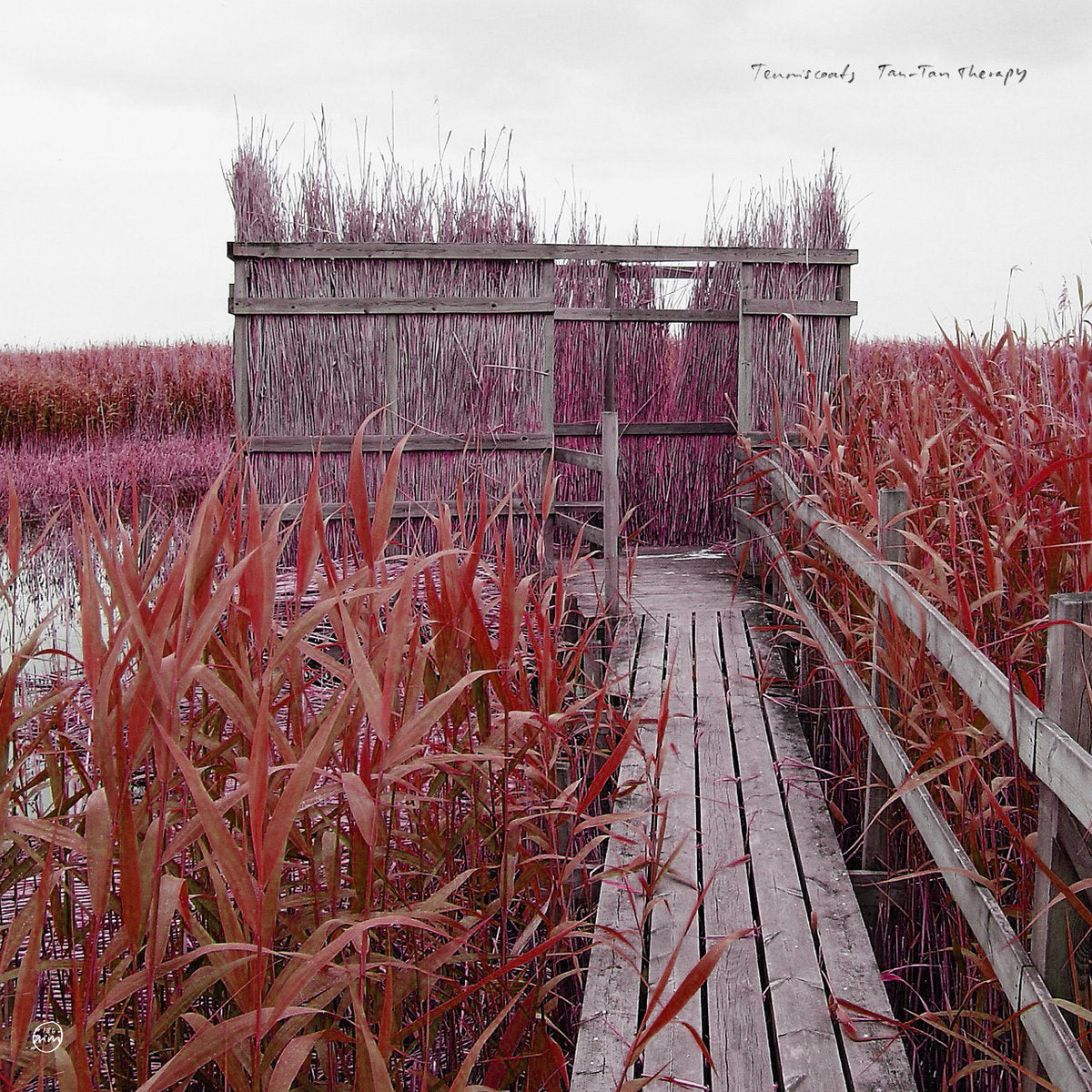 Tenniscoats - Tan-Tan Therapy CD