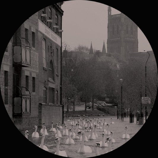 Hence Therefore - Bad Hope/Bad Despair 12"