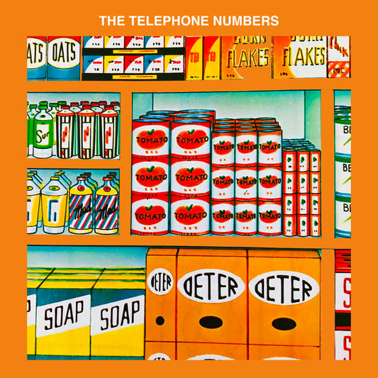 The Telephone Numbers - The Ballad Of Doug LP
