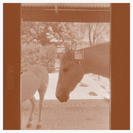 J.WLSN & Liam Keenan - Country/The Country CD