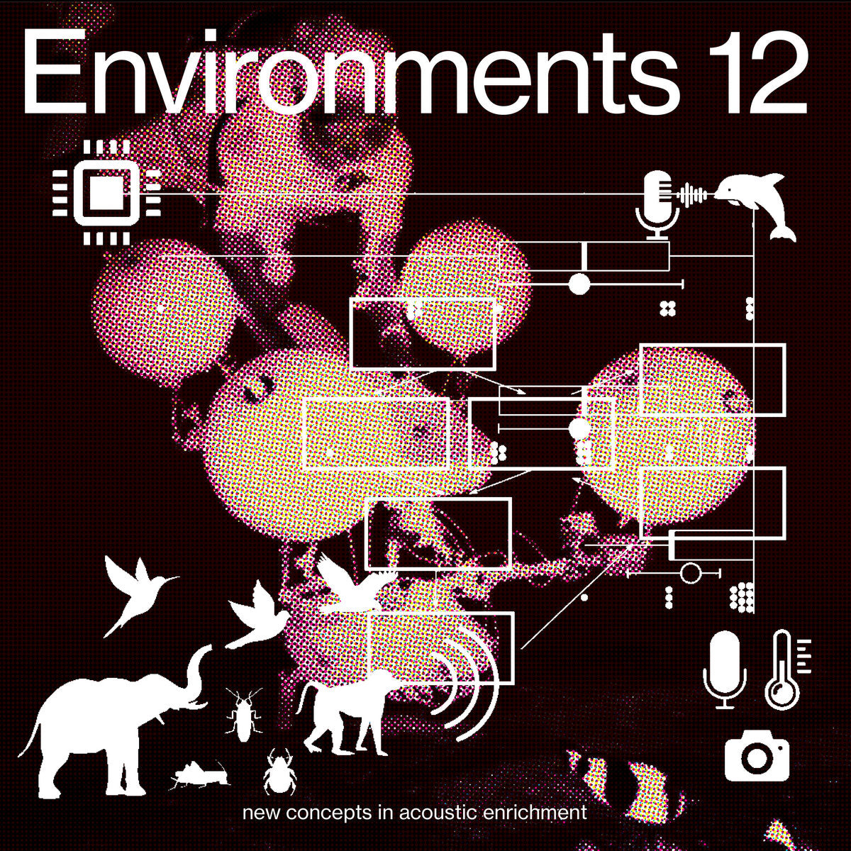 Machine Listening (Sean Dockray, James Parker & Joel Stern) - Environments 12: new concepts in acoustic enrichment LP