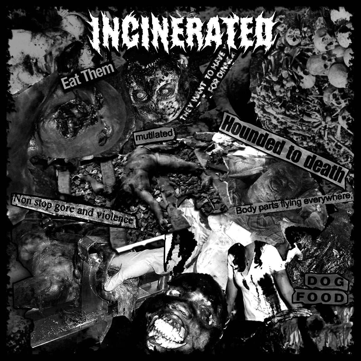 Incinerated / Deterioration - Split 7"