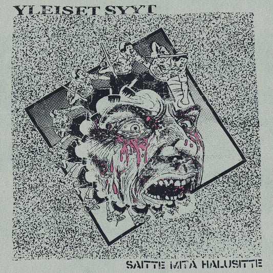Yleiset Syyt – Saitte Mitä Halusitte LP