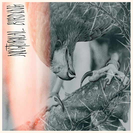 Author & Punisher - Nocturnal Birding LP