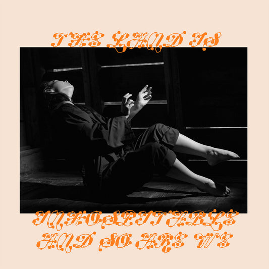 Mitski -  The Land Is Inhospitable and So Are We LP