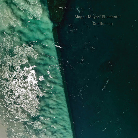 Magda Mayas' Filamental - Confluence CD