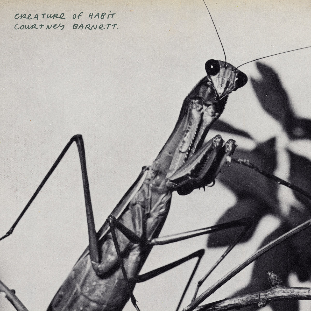 Courtney Barnett - Creature Of Habit LP