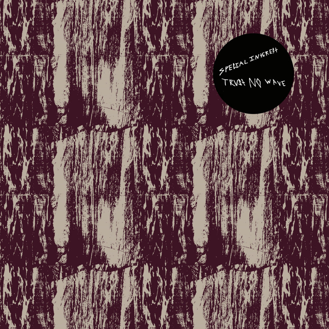 Special Interest - Trust No Wave: The 2016 Demos LP