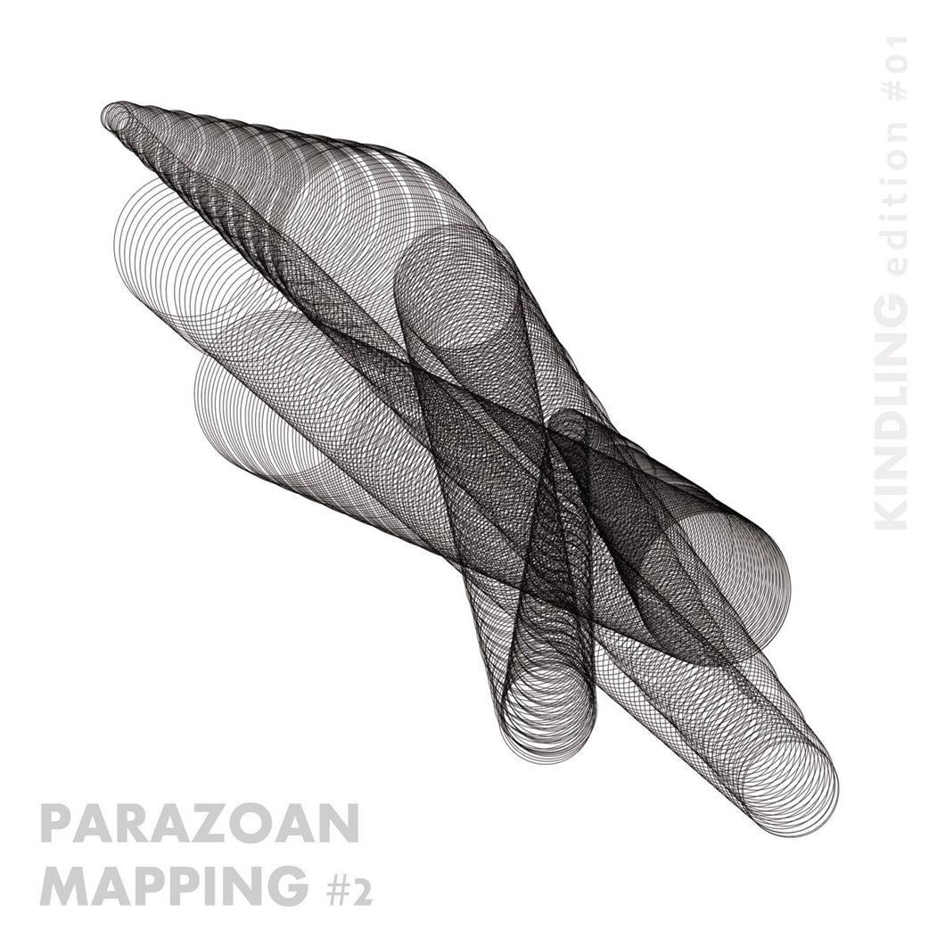 Taku Unami and Eric La Casa - KINDLING #1 - Parazoan Mapping #2 Newsprint Zine & Audio download code