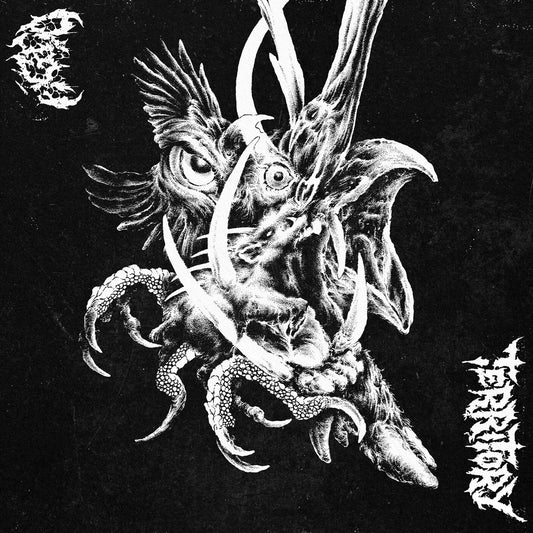 AGLO / Territory - AGLO / Territory LP