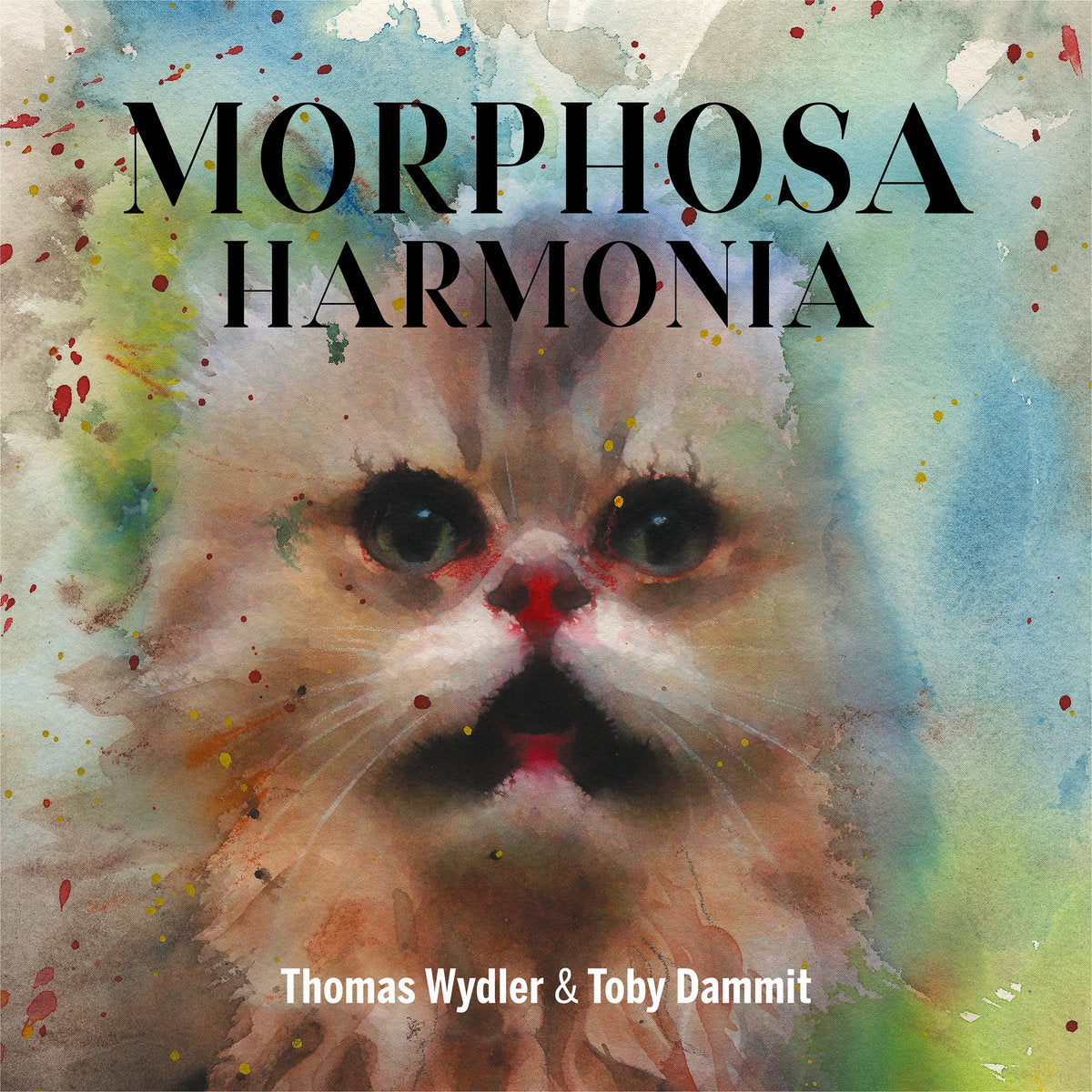 Thomas Wydler & Toby Dammit – Morphosa Harmonia LP Box Set