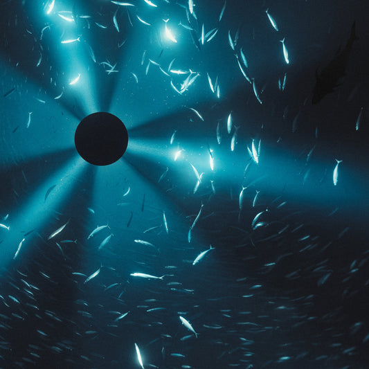 Laurel Halo - Midnight Zone (Original Soundtrack to the Film by Julian Charrière) LP