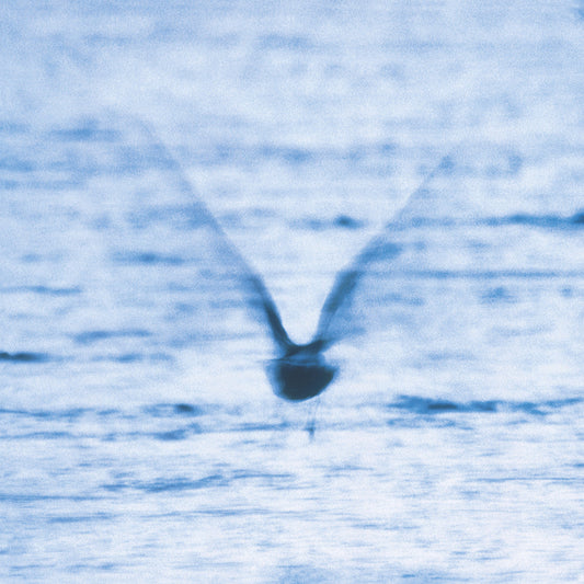 Ryo Fukui - Mellow Dream LP