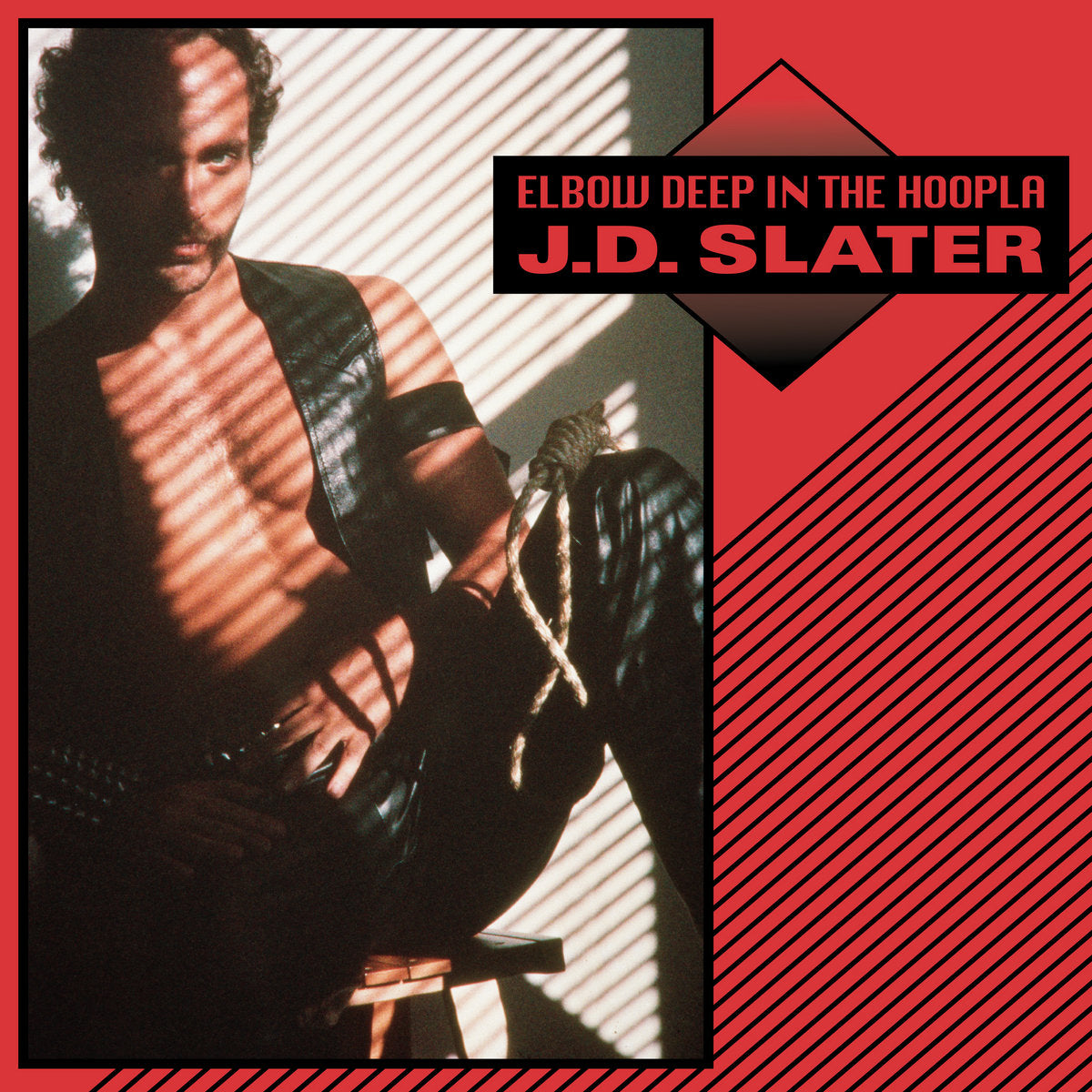 J.D. Slater - Elbow Deep In The Hoopla CD