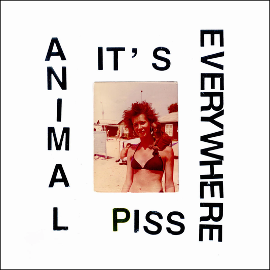 Animal Piss It's Everywhere - The First Two Albums CD